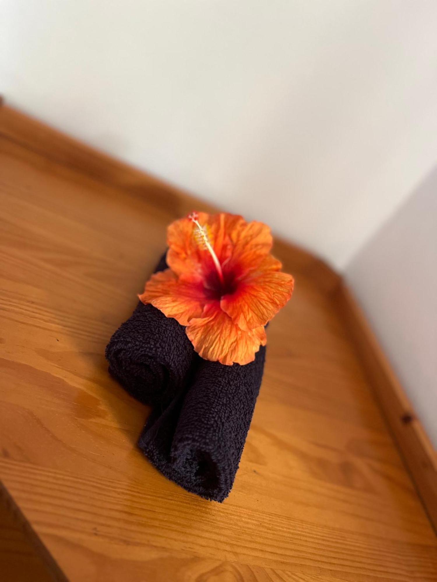 Tiki Lodge Hiva Oa Atuona 外观 照片