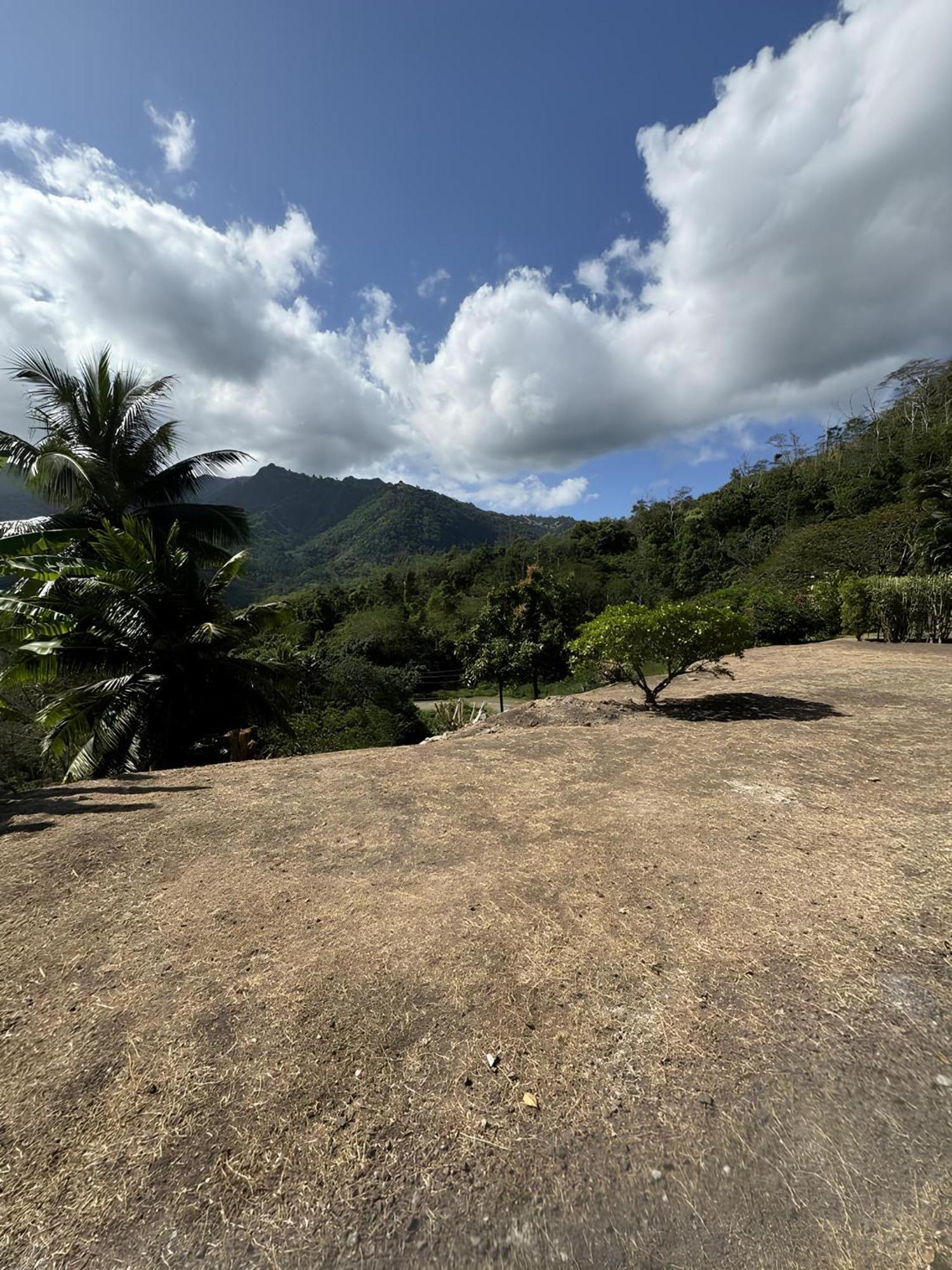 Tiki Lodge Hiva Oa Atuona 外观 照片